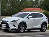 Lexus NX300 2021